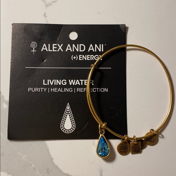 Alex and Ani Jewelry - Alex and Ani
